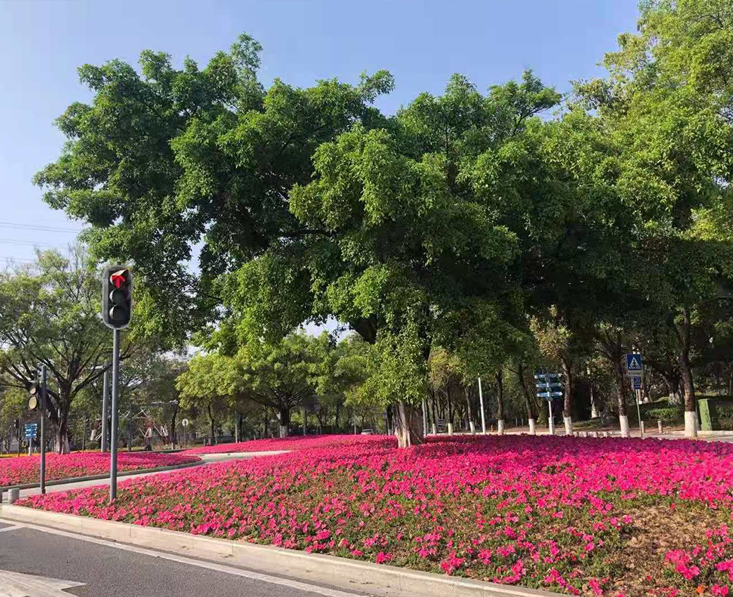 热之源科技2021年开工啦！！！